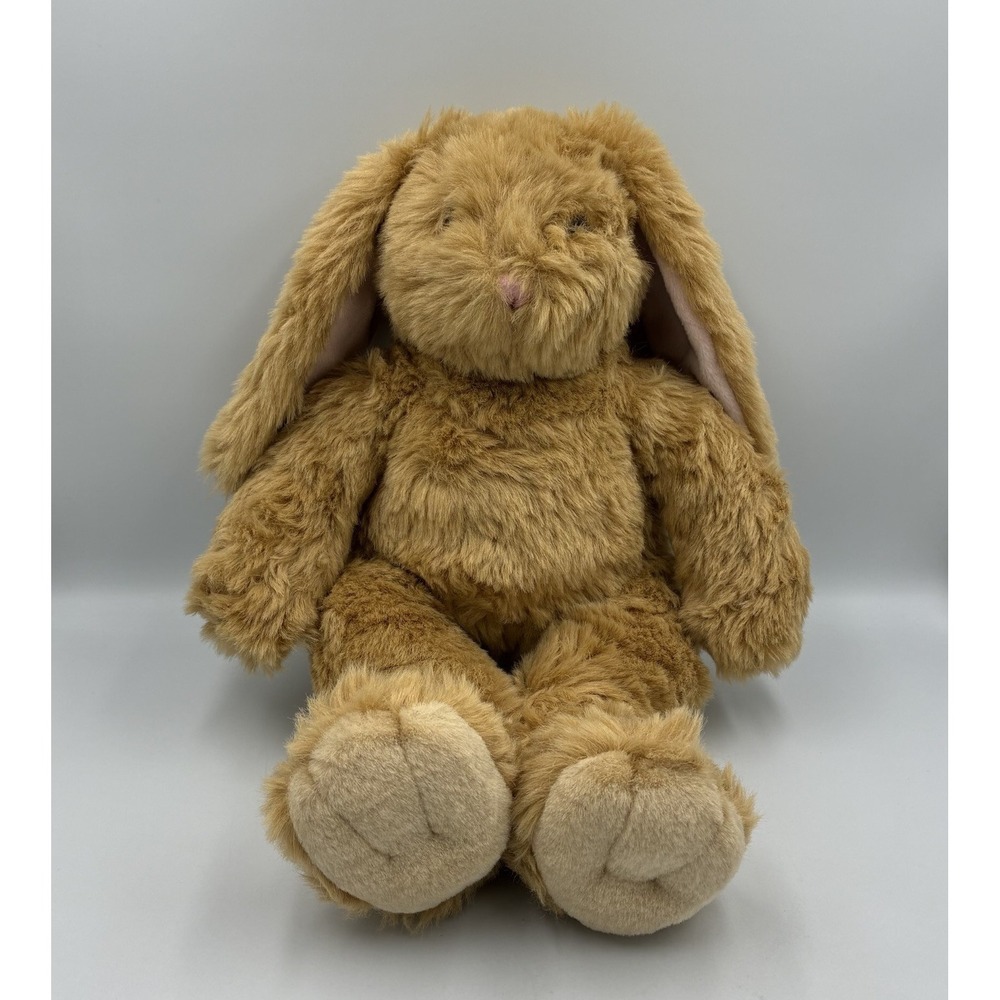 Build-A-Bear Workshop Bunny Rabbit Plush Brown Floppy Ears Stuffed Animal